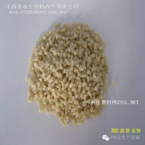 江西省永生塑料改性与您共聚 绿塑黄埔 38期 pa论坛 2018年9月16 18日 上海